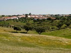 Venha descobrir esta terra milenar junto ao guadiana !