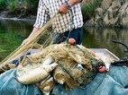 Venha descobrir esta terra milenar junto ao guadiana !